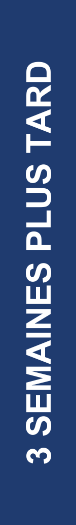 Électrogramme Boston Scientific CRT, segment 3/4 — Alerte d'impédance VG et test PaceSafe VG anormal