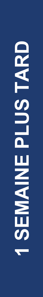 Électrogramme Boston Scientific CRT, segment 4/6 — Seuil et impédance VG en hausse dans les premières semaines post-implantation