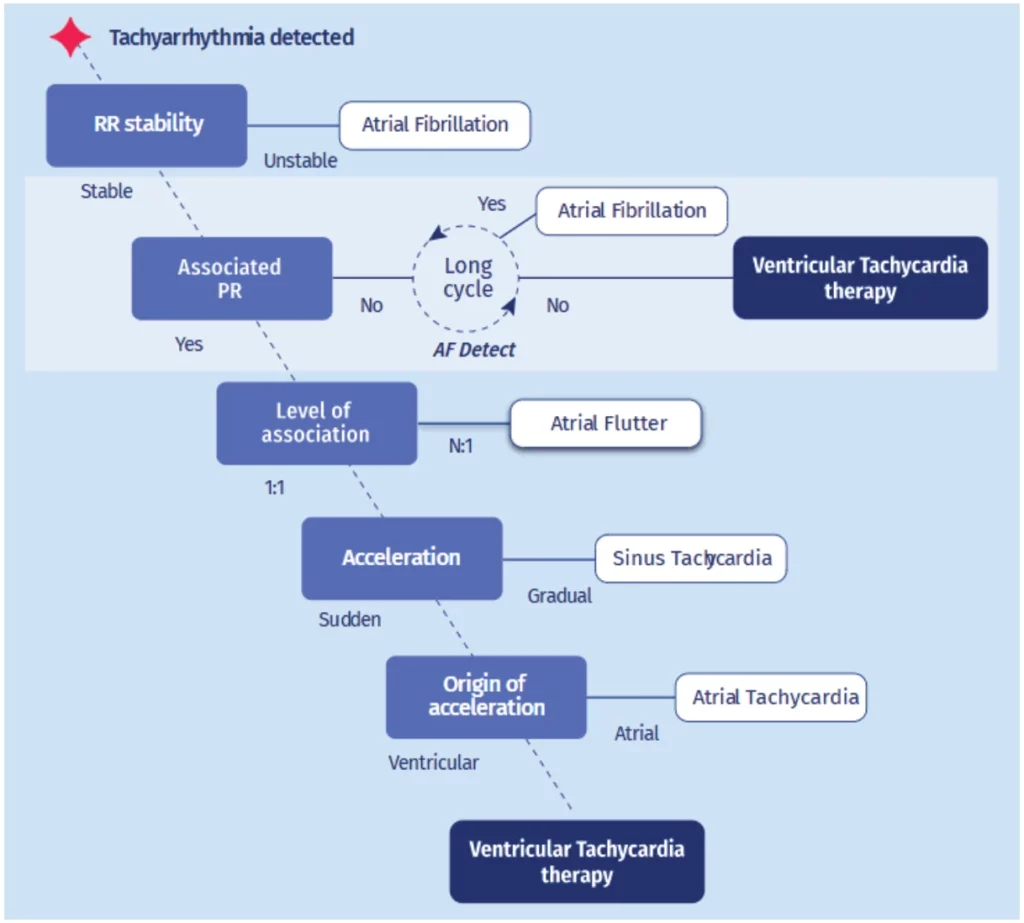 PARAD+ decision tree: RR stability, PR association, long cycle, level of association, acceleration and origin of acceleration