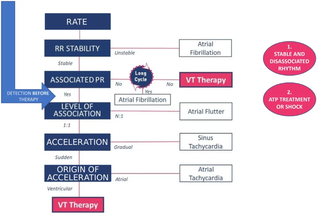 PARAD+ decision tree before therapy: a stable and dissociated rhythm is classified VT and treated with ATP or a shock