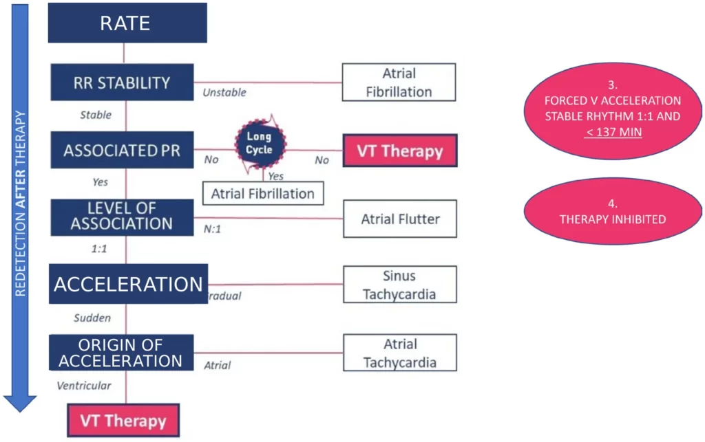 Redetection after therapy, situation 1: forced V acceleration and a stable 1:1 rhythm below 137 bpm, the therapy is inhibited