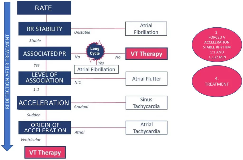 Redetection after therapy, situation 2: forced V acceleration and a stable 1:1 rhythm above 137 bpm, a new therapy is delivered